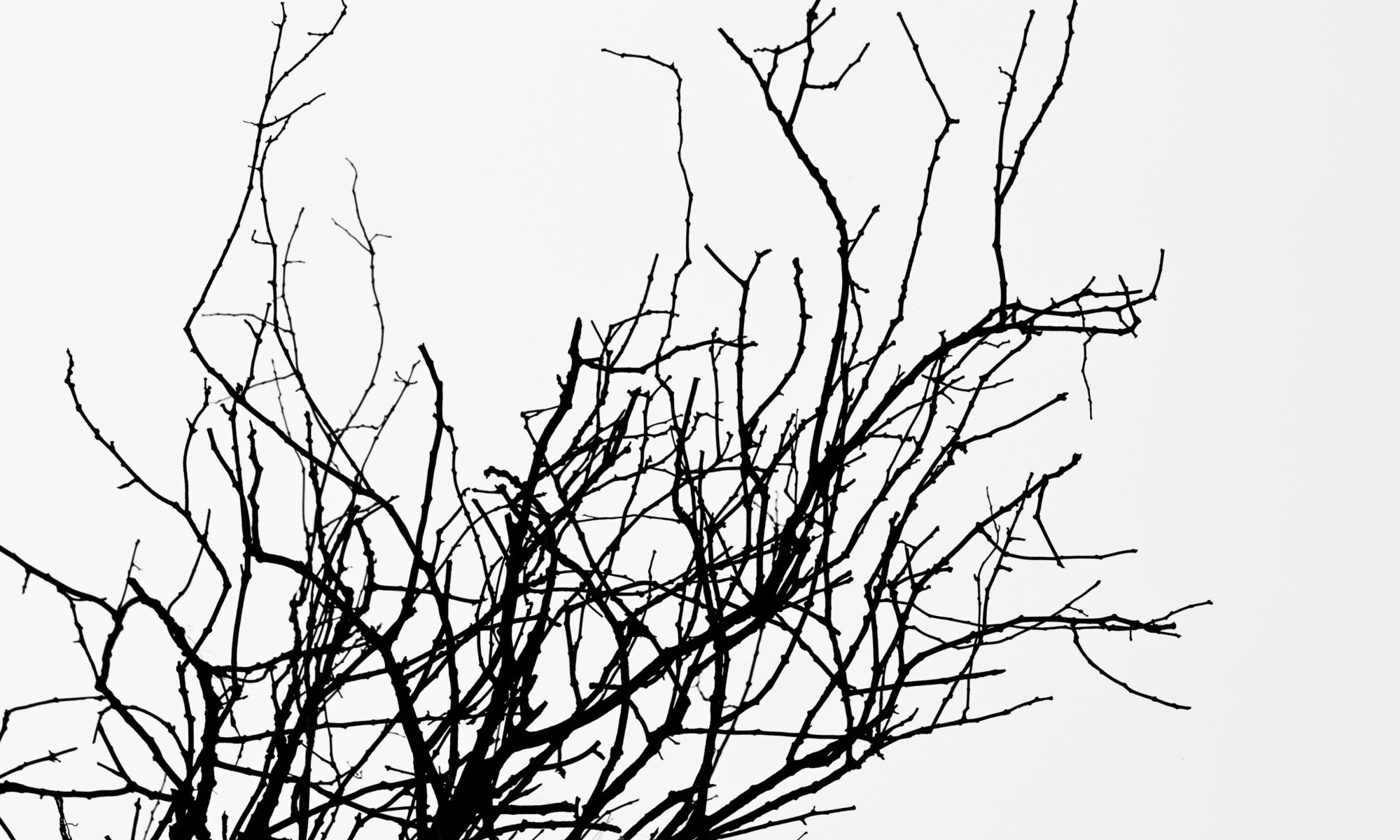 Як подолати страх смерті